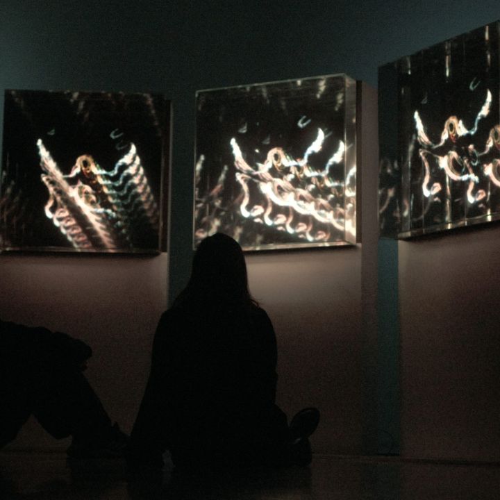 exo tundra froch exposicion 4